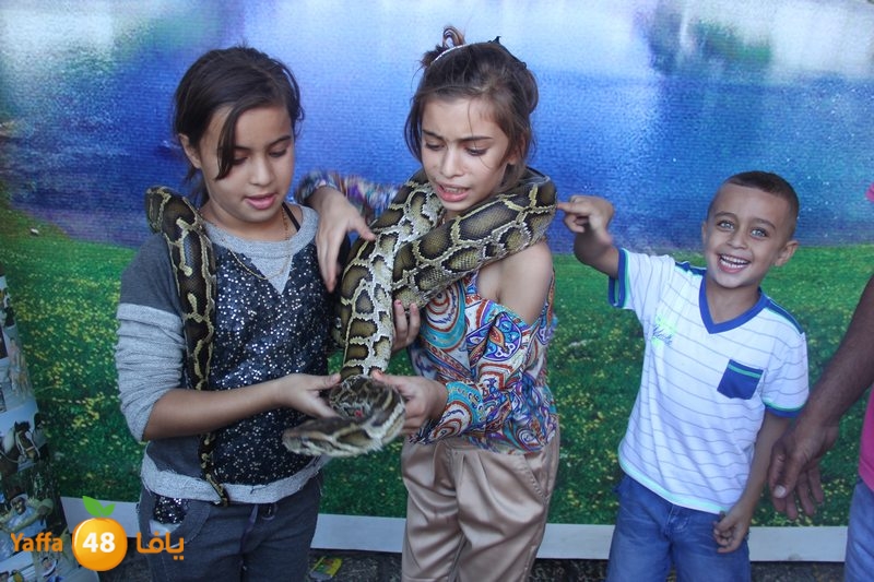 re7la ludj31 (25).JPG